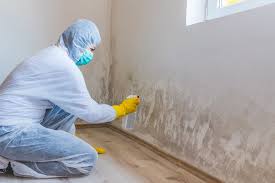 Why You Should Choose Our Mold Remediation Services in Coquille, OR